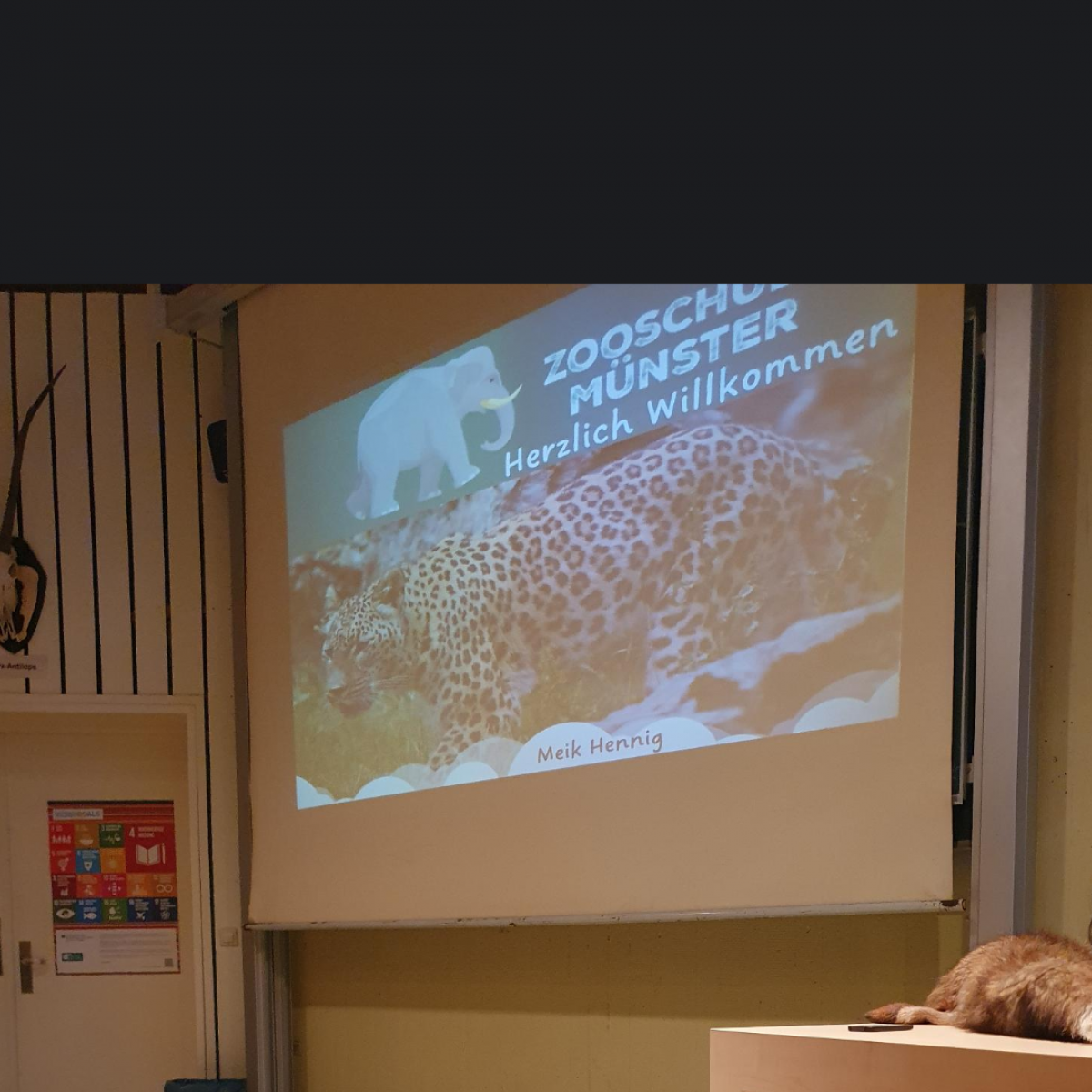 Pandas 1
