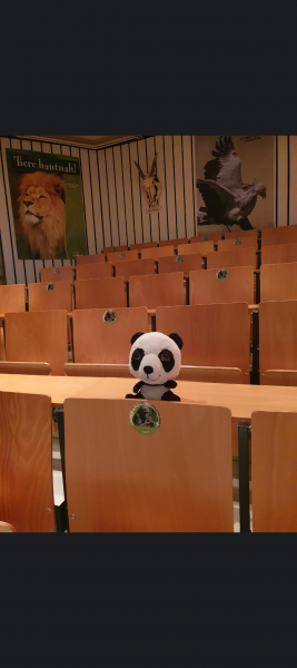 Pandas 3
